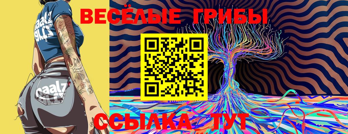 Галлюциногенные грибы Psilocybine cubensis  Вход с VPN  Нововоронеж 